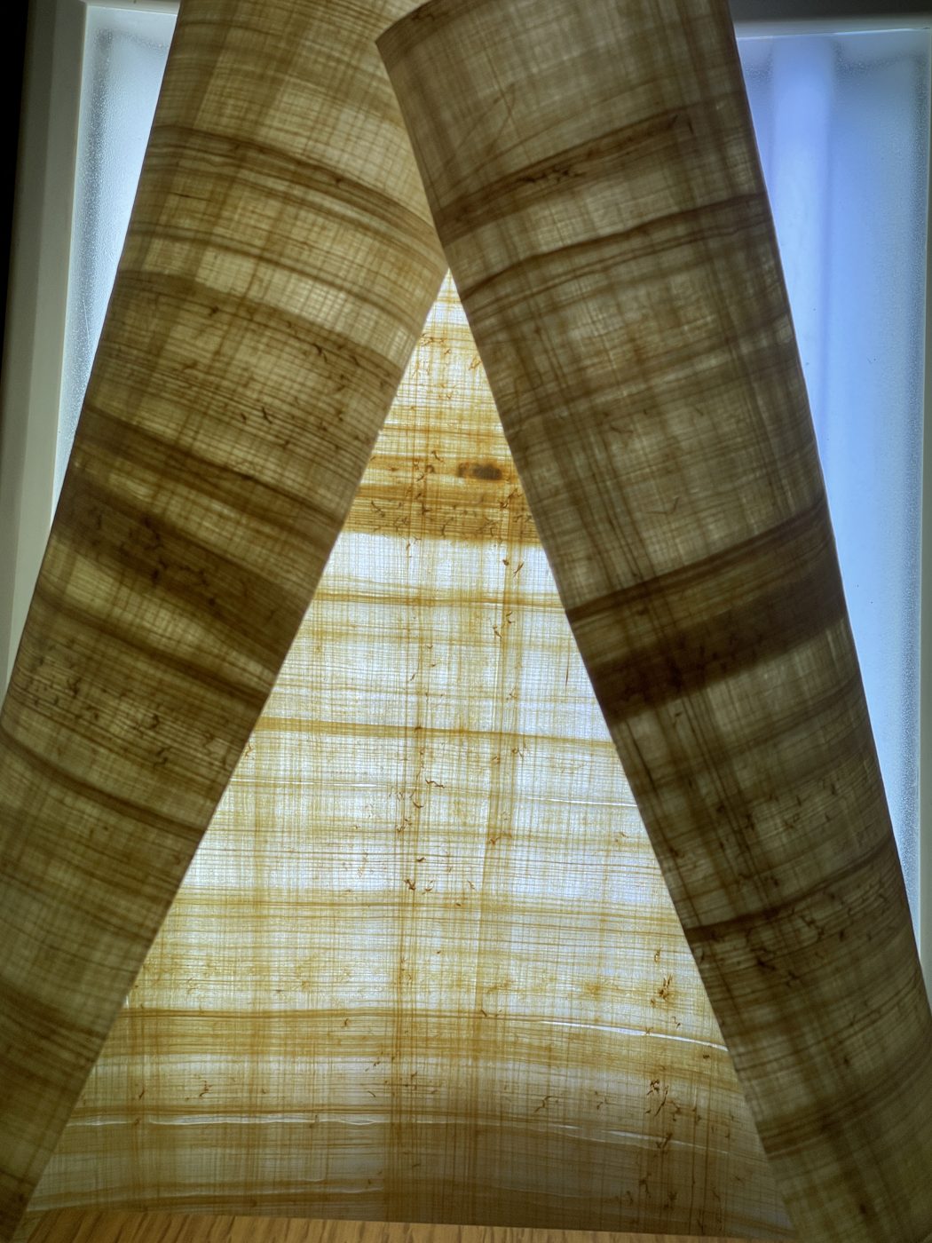 Two strips of papyrus leaning into an A shape, backlit
