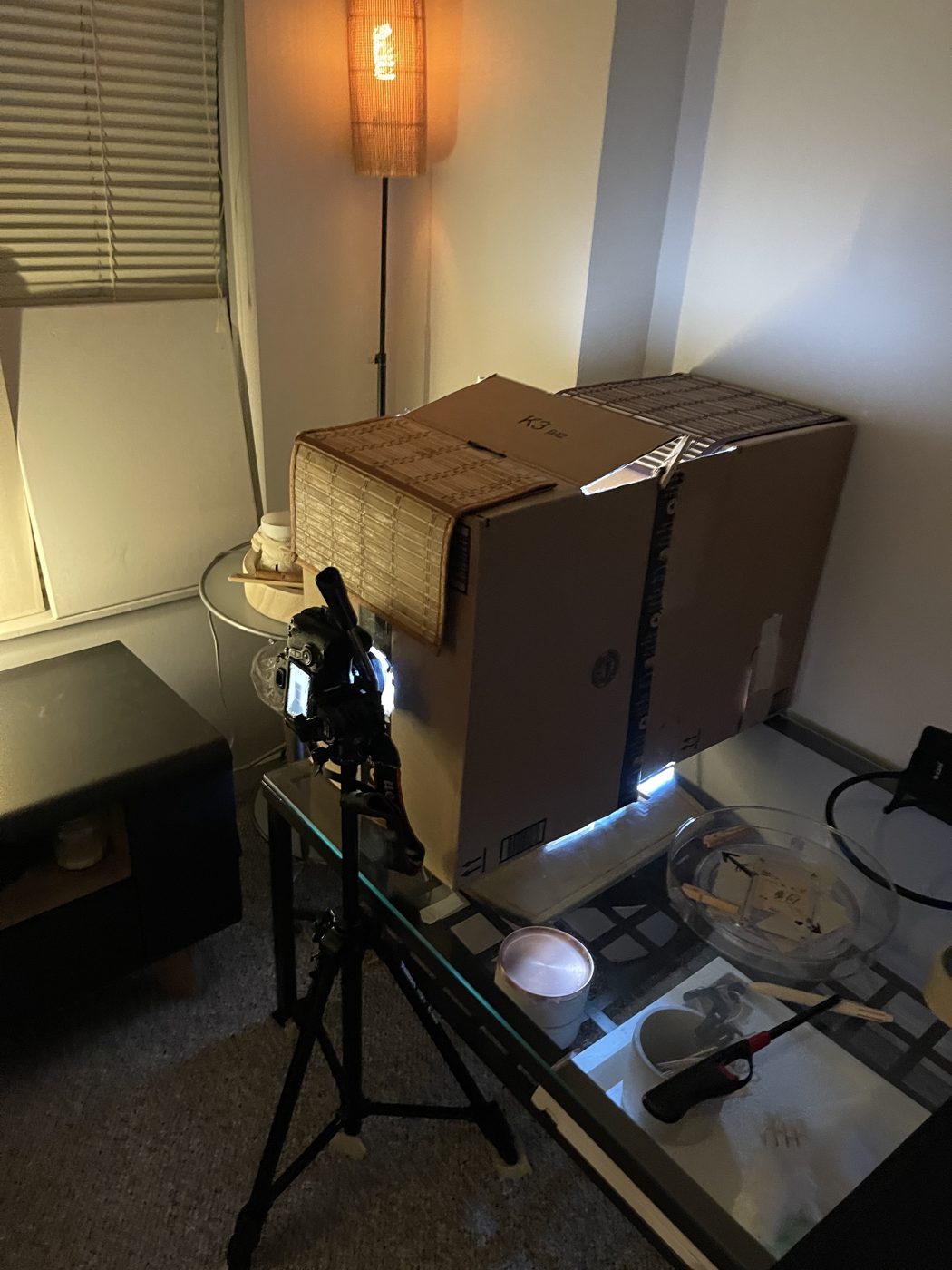 The camera on a tripod pointed into the glowing box at night